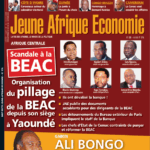 Couverture Journal Afrique Expansion N°378
